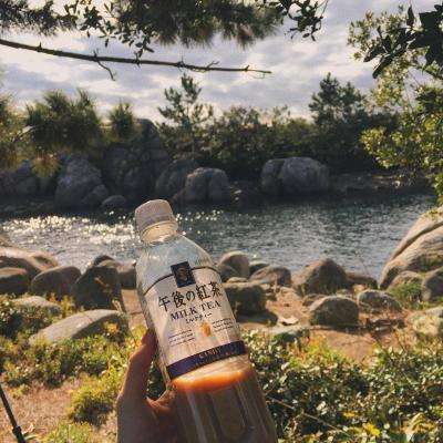 博鱼app体育官方正版下载截图