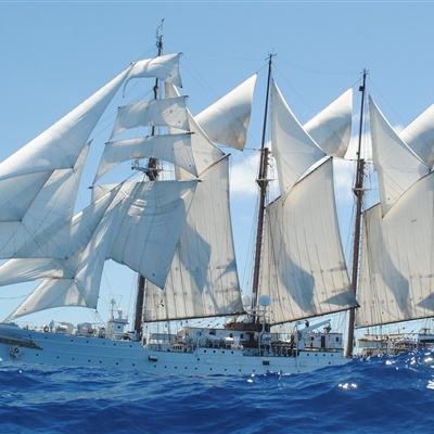 乐宝体育官网登录入口手机app下载